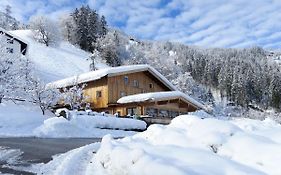 Chalet Talbach - MHO778